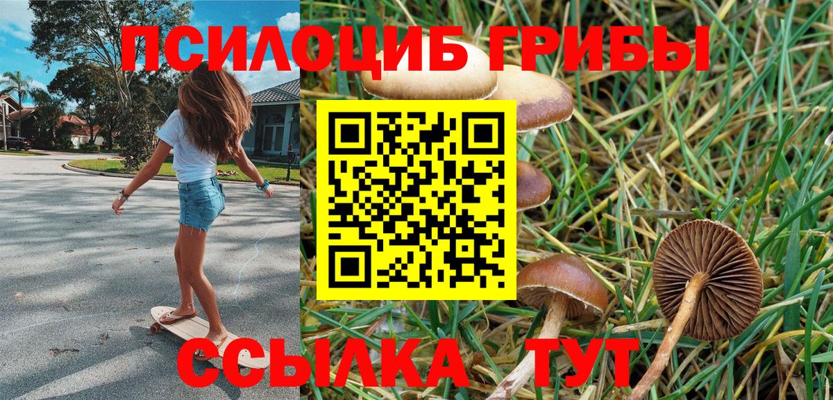 Новочеркасск  Галлюциногенные грибы Psilocybine cubensis  Вход с VPN  Псилоцибиновые грибы Cubensis 