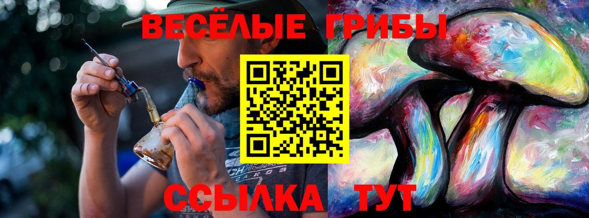 Галлюциногенные грибы Magic Shrooms Новочеркасск